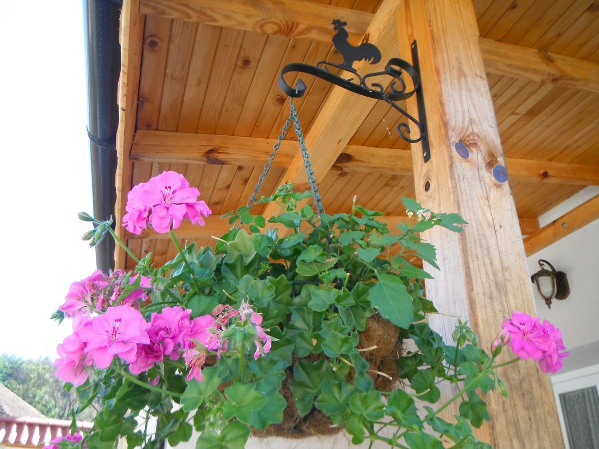 Villa Ani Gorna Kovachitsa Экстерьер фото